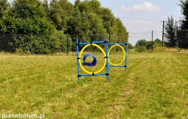 Hotel dla Psa Poznań