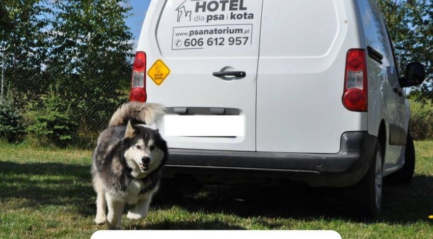 Pet TAXI - przewóz zwierząt